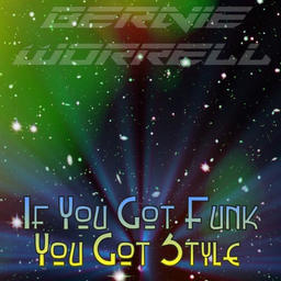 If You Got Funk, You Got Style