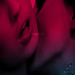 The Respiration (TEK.LUN’s Losing You Remix)