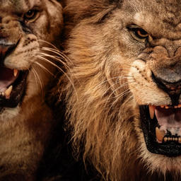 JAY Z x JAY ELECTRONICA