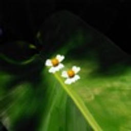 Aguente (Bonus Track)