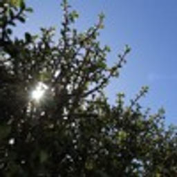 Proxihma Manhã / tarde