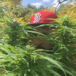 Kanye West, Talib Kweli & Common