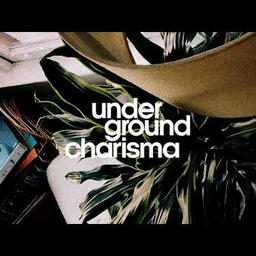 sumthinsumthin (lakim's groov house edit)