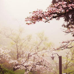 you went to this concert and i thought of you going there while making