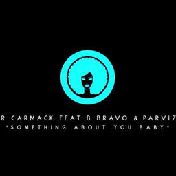 something about you baby (feat. b. bravo & parvizi)