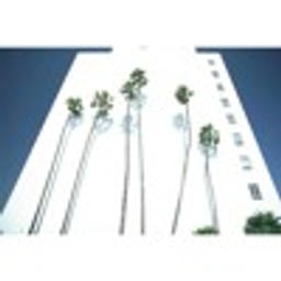 Thats How Life Goes (Remix)