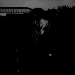 ｓｔｒａｉｇｈｔ ｕp