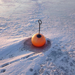 Don't Stop (Ever Loving Me)