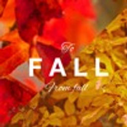 Prototype (starRo Bossa EDIT) 