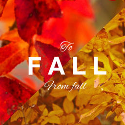 Prototype (starRo Bossa remix)