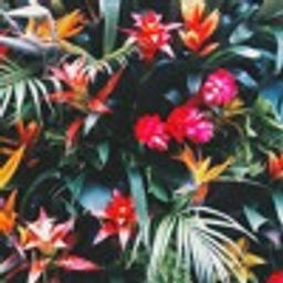 xscminutosxsc xscdexsc xscmeditaçãoxsc