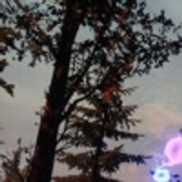 suede x am i wrong (anderson .paak)