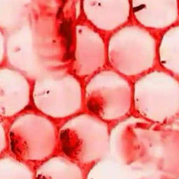 You Can Do It Too f Jamie Cullum