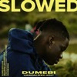 Dumebi ( Vandalized Edit ) [SLOW DAT SH*T]