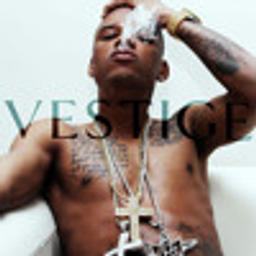 Throw Some D's (VESTIGE Remix)