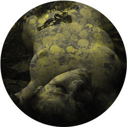 Obsession Ft B Bravo