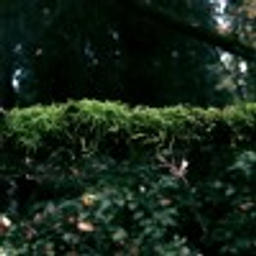 Real Friends (Sango Mix)