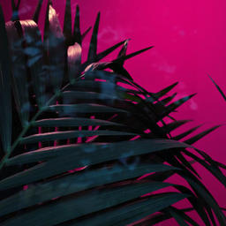 Trust Me Chopped Screwed