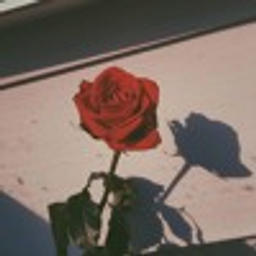 nothing like lovin' u