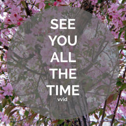 See You All The Time