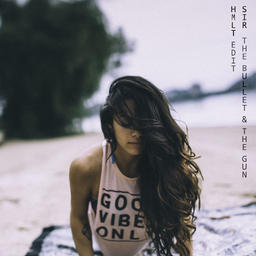 Bullet & the Gun (HMLT Remix)