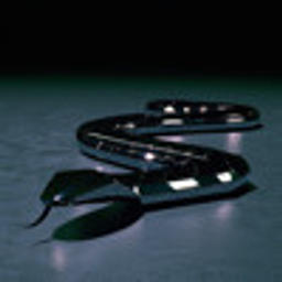 Pretty Flacko Was Feelin' You