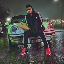 What You Need [Prison Garde Eight Oh Eight Remix]