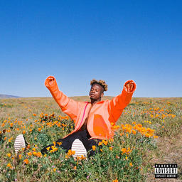 Pretty Much (early version)