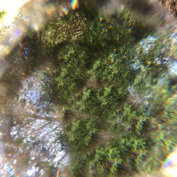 trafficjams w/mndsgn