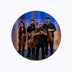 Vitamin String Quartet