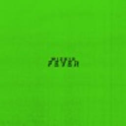 Fever