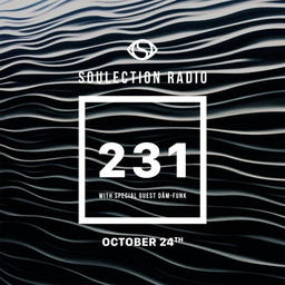 Show #231 w/ Dam-Funk