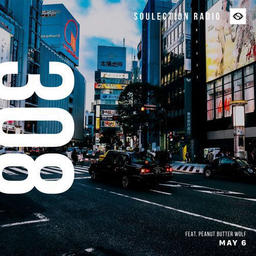 Show #308 ft. Peanut Butter Wolf (Stones Throw)