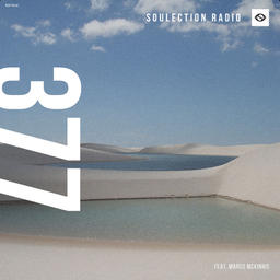 Show #377 w/ Marco McKinnis