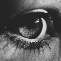 Show #50 (Special Set)