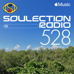 Soulection Radio Show #528